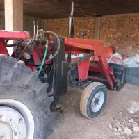 بیل پایه بگو ۲۸۵جفت درحد