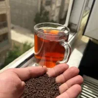 چای|خوردنی و آشامیدنی|نیشابور, میدان حافظ|دیوار