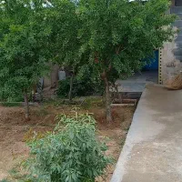 باغ ویلا