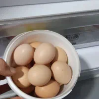 تخم مرغ محلی تازه