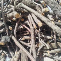 خرید چوب بادام و میوه جات قیمت خوب