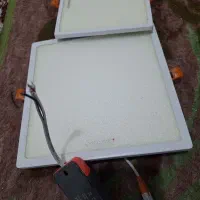 لامپ بانورسفیدمخصوص زردی نوزاد