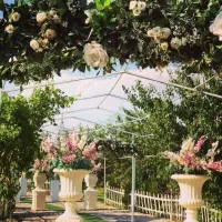 باغ تالار مجلل 230 نفر سالن