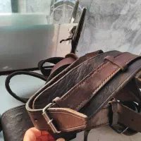هیکلی علم ۲عدد