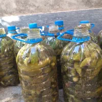 ترشیچات خانگی