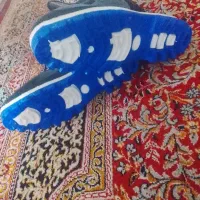 چکمه|کیف، کفش، کمربند|بوشهر, |دیوار