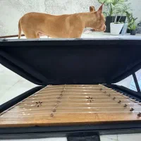 سنتور حمید موسوی در حد نو زیر قیمت