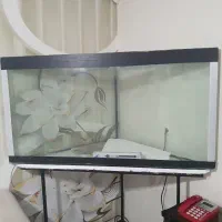 آکواریوم مثلثی