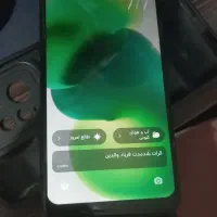 شیامی نوت12