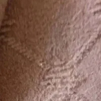 موکت درحدنو