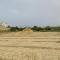 1866-متر-سند-تک-برگ-طاهرآباد-طاهراباد