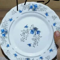 شش عدد یا۱۲