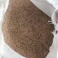 فروش گندم