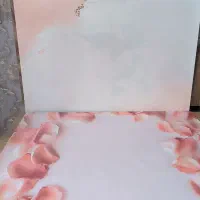 بک دراپ عکاسی