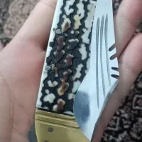 سهره|پرنده|جوانرود, |دیوار