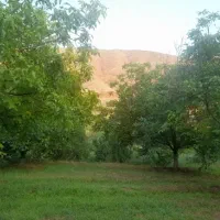 باغ-گردو