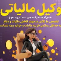 مدیر مالی و مالیاتی با قیمت پارسال