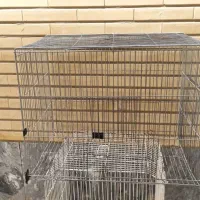 قفس