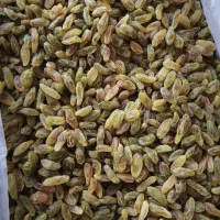 پخش عمده و جزئی خشکبار