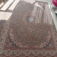 9متری