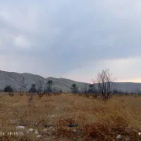 اجاره-زمین-کشاورزی