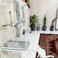 قفس کاسکو باکس حمل گربه