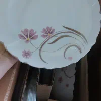 سرویس ارکوپال نو