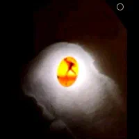 عقیق اصل یمانی  + شهاب سنگ اصلی