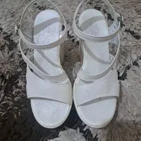 کفش مجلسی