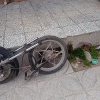 رینگ‌‌ستاره‌ای