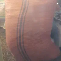 عدس وکاه عدس و گاودانه