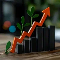 ارائه  بهترین خدمات صفر تاصد فضای مجازی