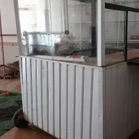 دکه سیب زمینی کبابی