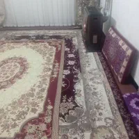 پونه ۵۵ متری بسیار شیک و مرتب