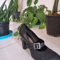 کفش مجلسی و اسپورت 37