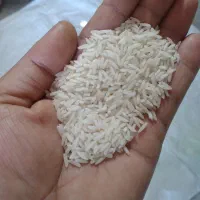 فروش برنج هاشمی گیلان