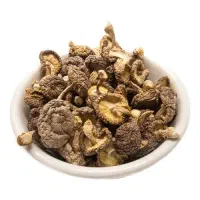 قارچ شیتاکه (خشک تکه‌ای / پودر شده)