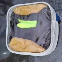 لونه یا لانه و مخفیگاه پرنده طوطی و جوندگان