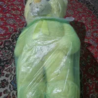 عروسک ارتفاع ی متر
