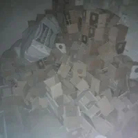 جا تخمی فنج