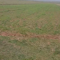 فروش-زمین-نزدیک-به-شهرک-صنعتی-مخصوص-باغ-شهری