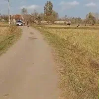 فروش هزارمتر شالیزار جای خوب ۱۰۰متری اسفالت