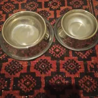 تعدادی وسایل نگهداری پت خانگی