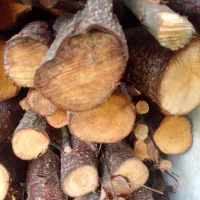 چوب شومینه خوب ویک دست به فروش میرسد