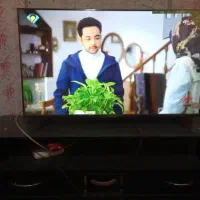 ال ای دی هیمالیا