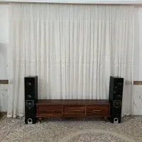 دو عدد باند