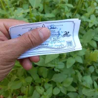 بلیت استخر