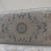 دو جفت پشتی