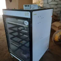 دستگاه جوجه کشی جوجه تخم مرغ تخم گذار