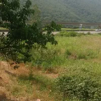 اجاره-آپارتمان-دو-خوابه-با-پارکینگ-فلاح-سجاد
